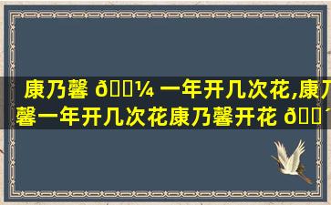 康乃馨 🐼 一年开几次花,康乃馨一年开几次花康乃馨开花 🌴 后枯萎了